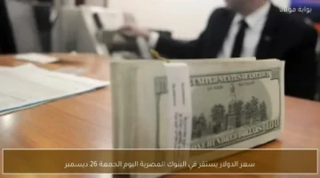 سعر الصرف المستقر.. تداولات الدولار في البنوك المصرية خلال تعاملات الجمعة 26 ديسمبر